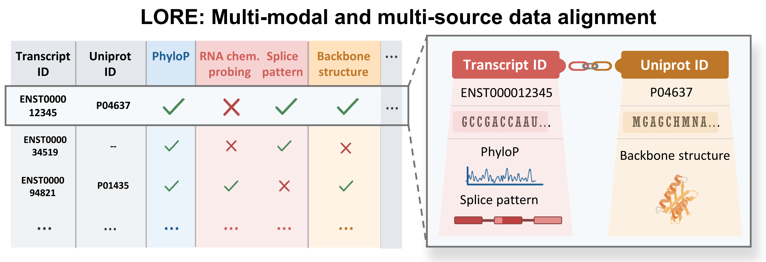 LORE aligns heterogeneous measurements onto shared transcript and protein identifiers.