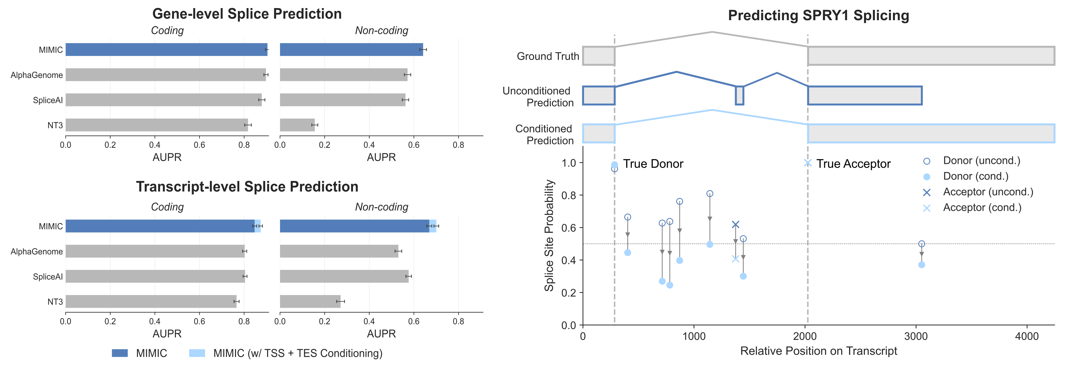 Gene- and transcript-level splice prediction, and the effect of conditioning on transcript start and end sites.