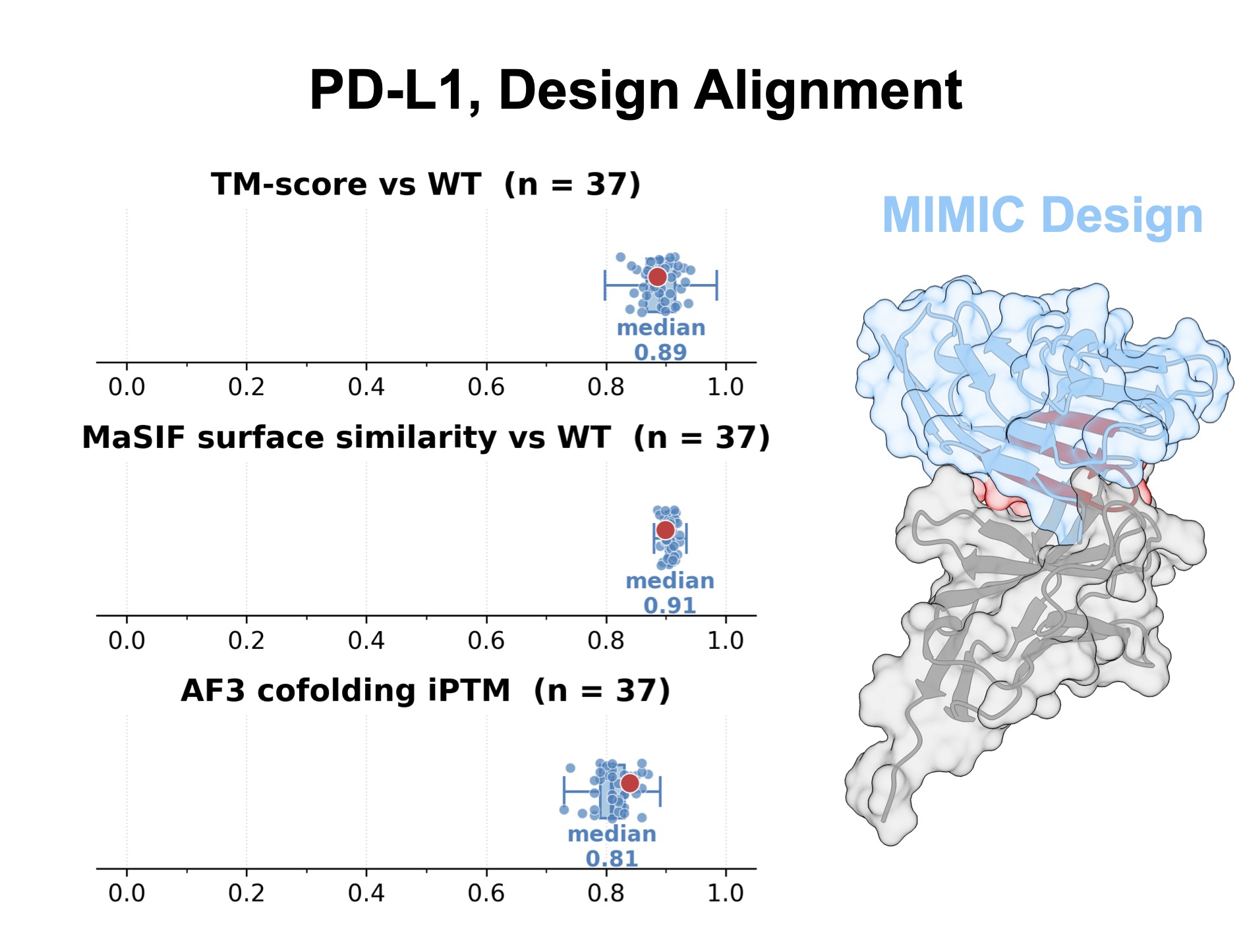 PD-L1 binder designs: fold and surface agreement with the wild type, AF3 co-folding confidence, and one design in complex.