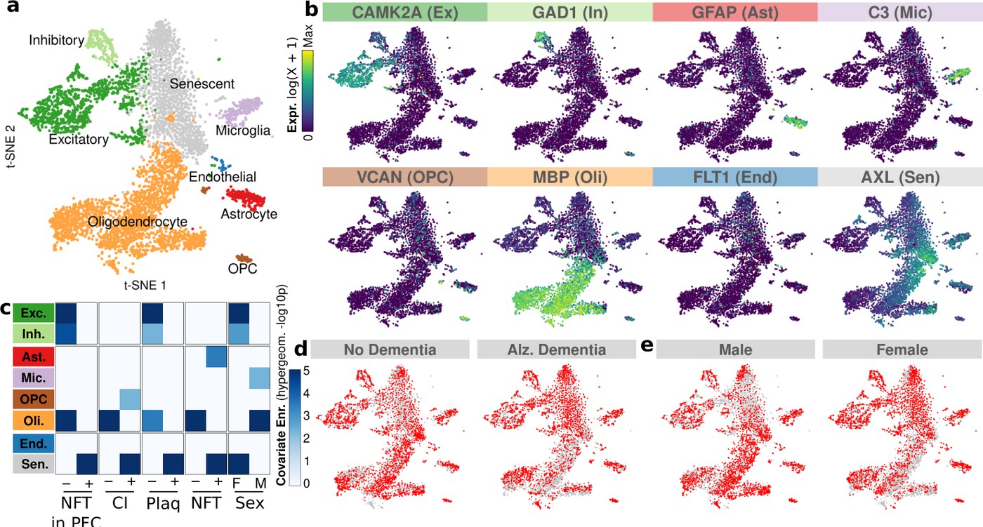Figure from Single-cell mosaicism analysis reveals cell-type-specific somatic mutational burden in Alzheimers Dementia