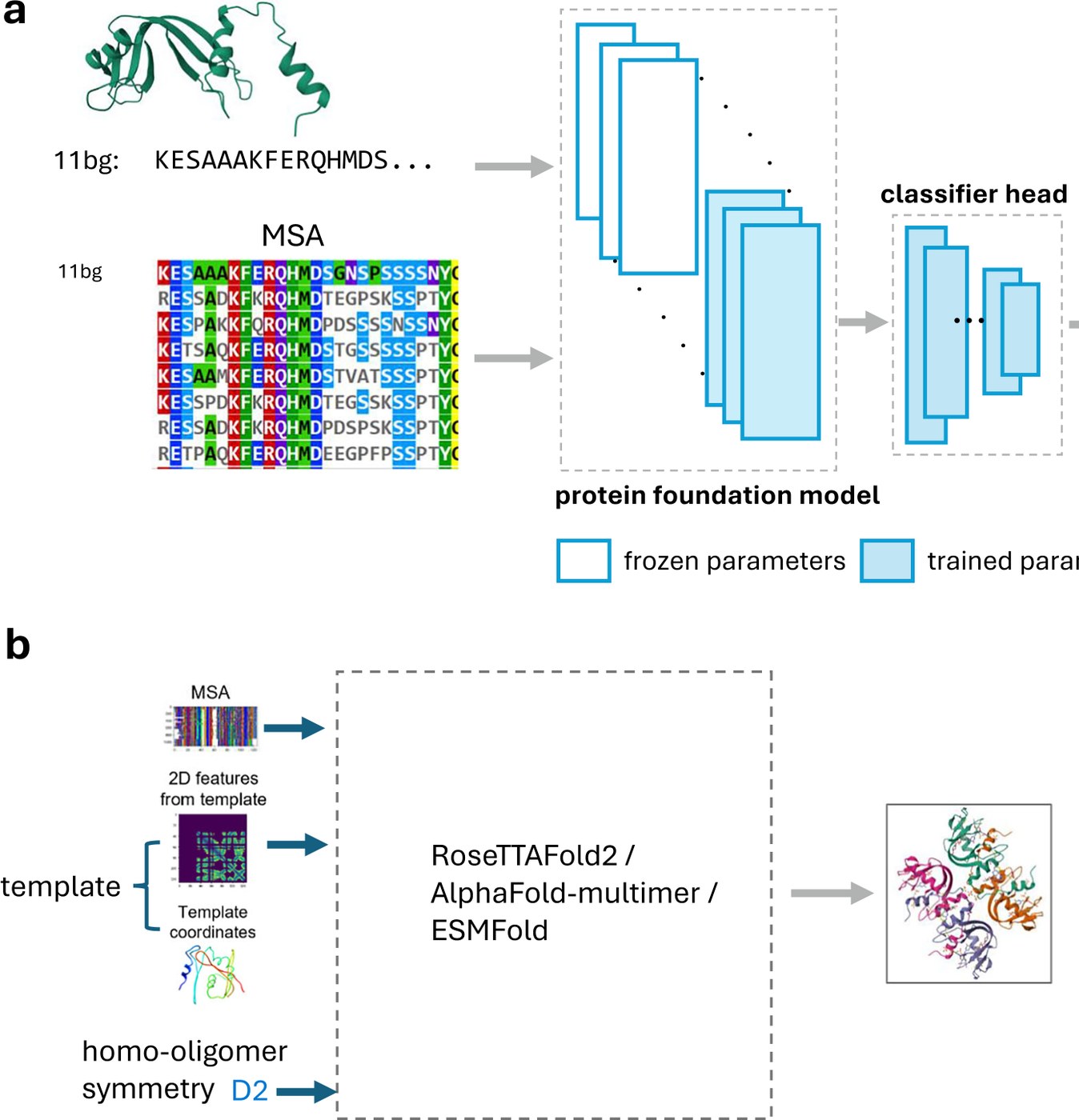 Figure from Rapid and accurate prediction of protein homo-oligomer symmetry