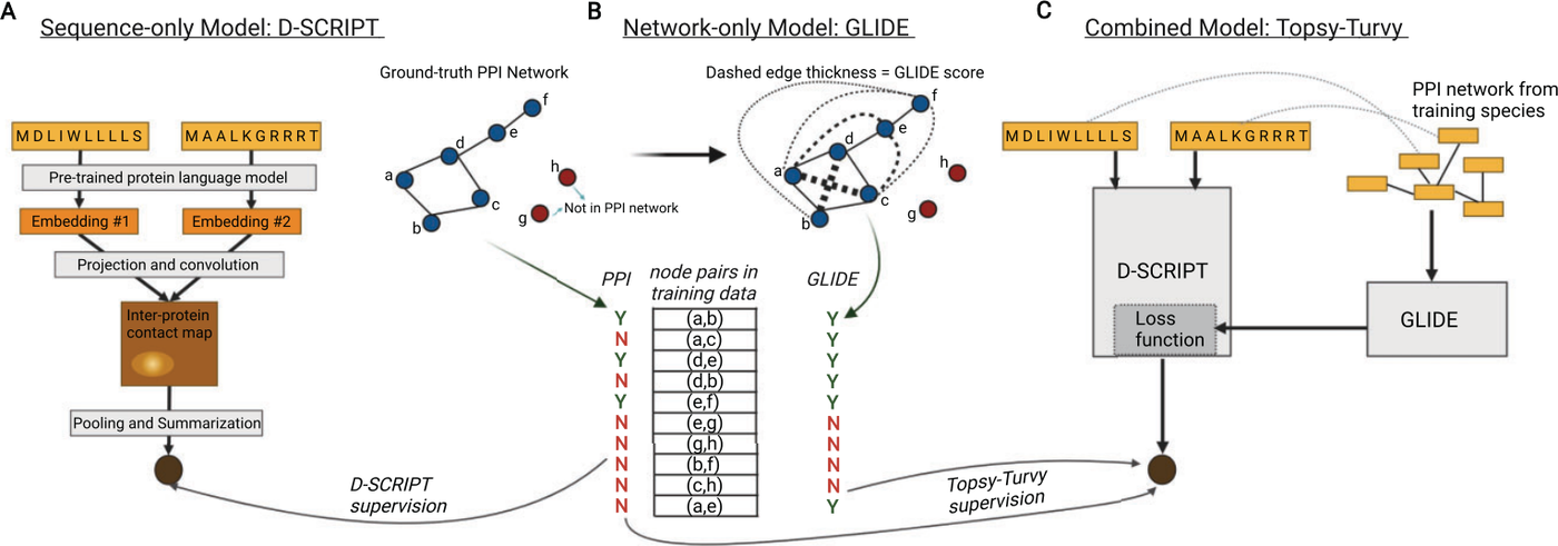 Figure from Topsy-Turvy: integrating a global view into sequence-based PPI prediction