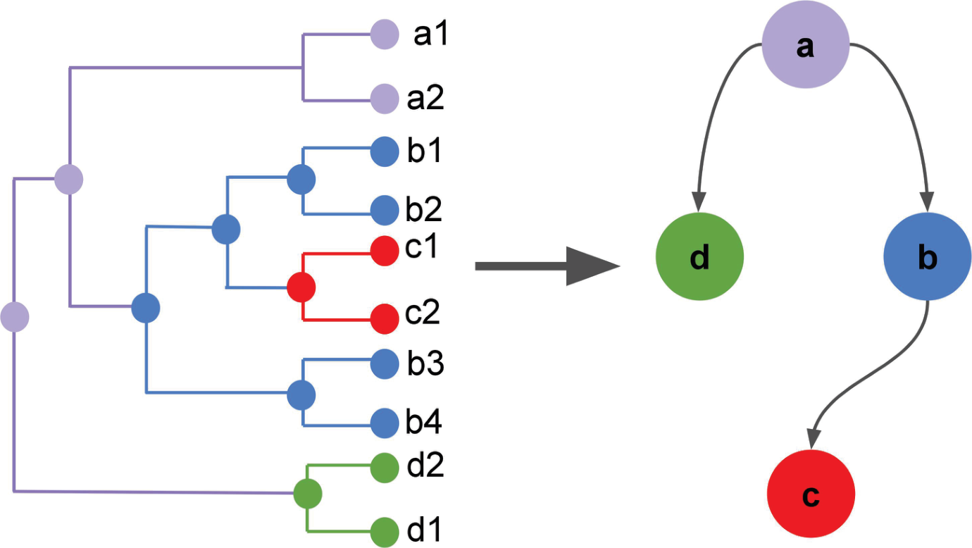 Figure from TreeFix-TP: Phylogenetic error correction for accurate reconstruction of viral transmission networks