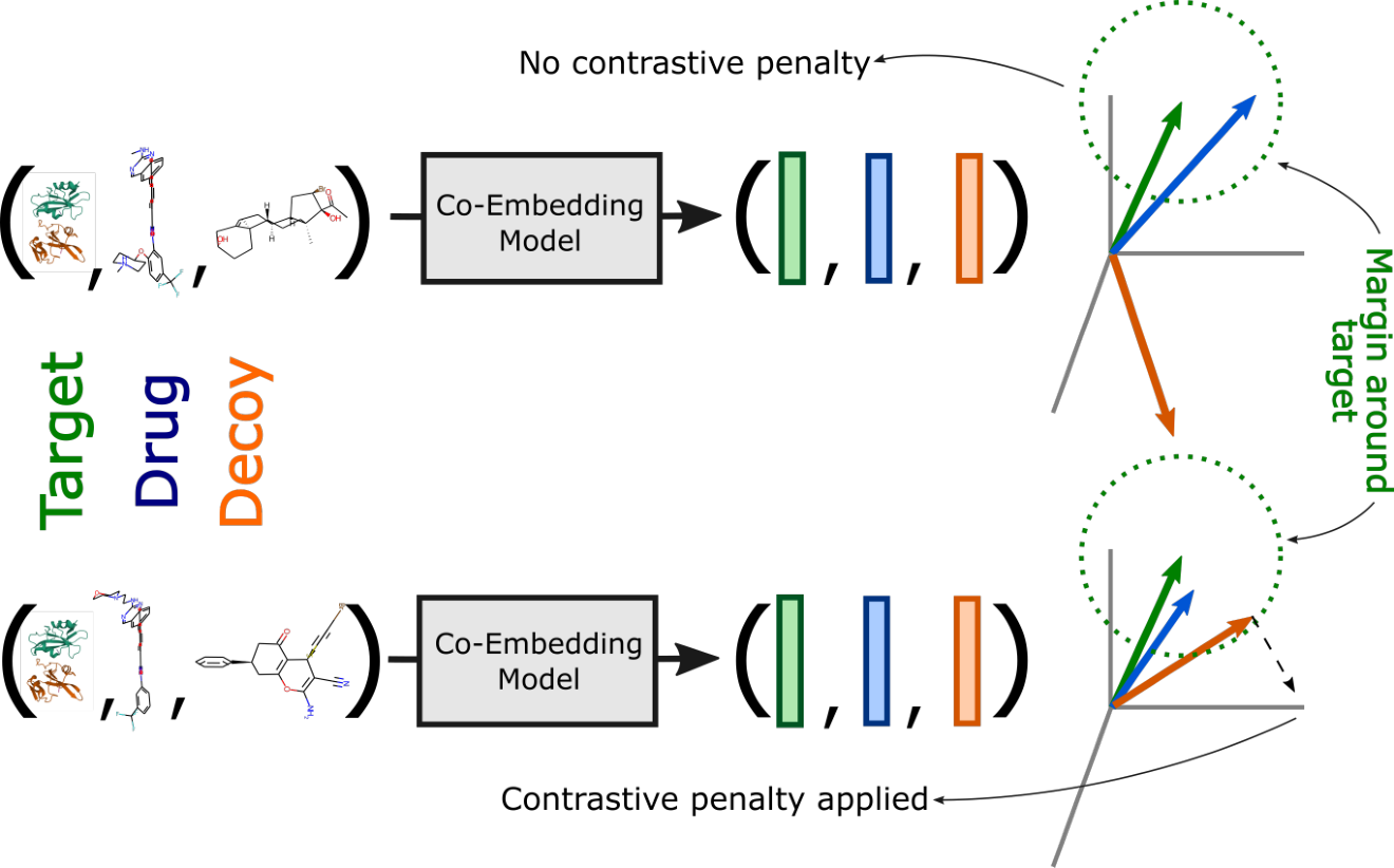 Figure from Contrasting drugs from decoys