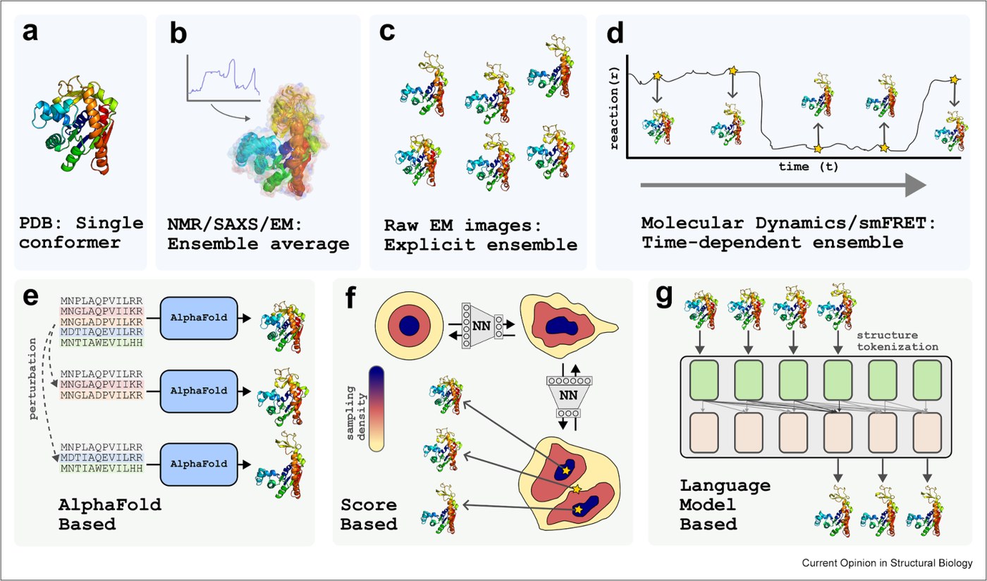 Figure from The landscape of machine learning approaches for modeling protein conformational ensembles