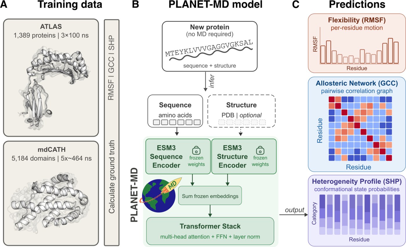 Figure from PLANET-MD: Ultra-fast Proteome-scale Prediction of Allosteric Networks in Proteins