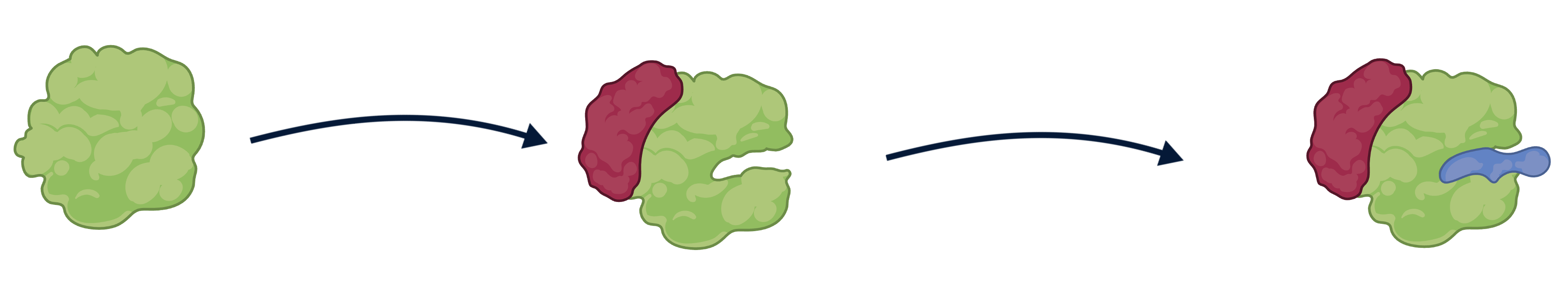 Cartoon schematic of allosterically induced binding.