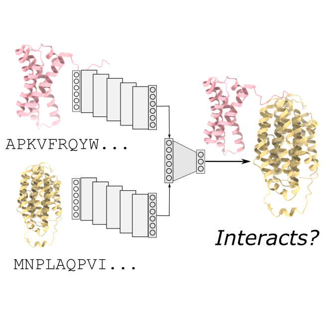 Predicting molecular interactions