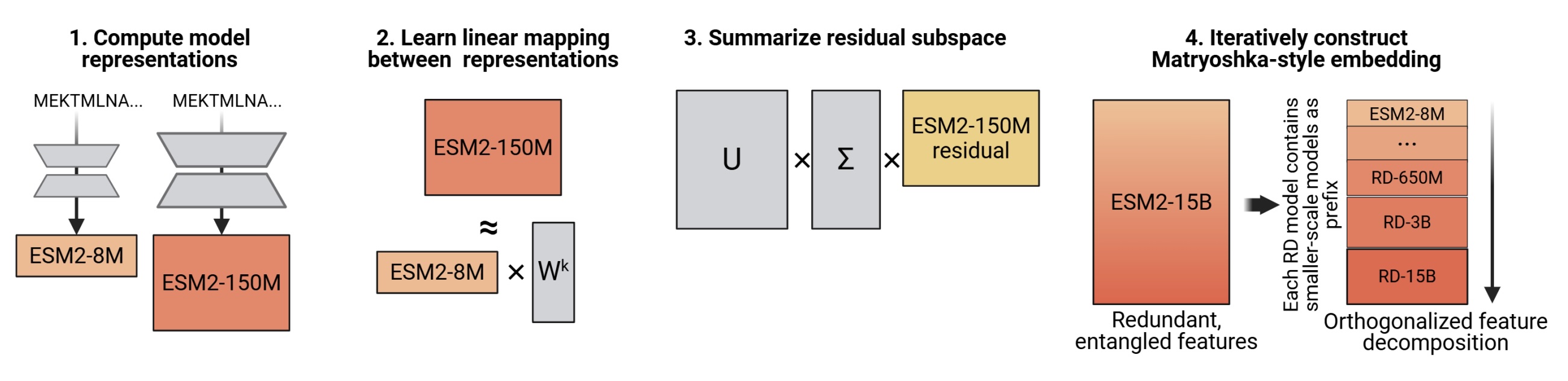 Reverse distillation of language model embeddings.