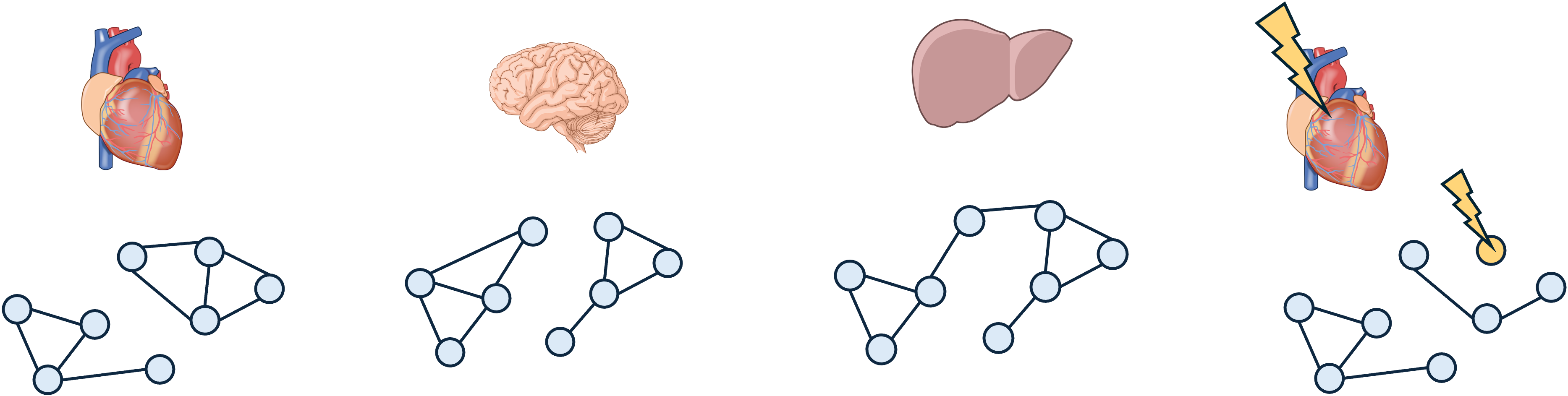 Cartoon of different interaction networks in different tissues.